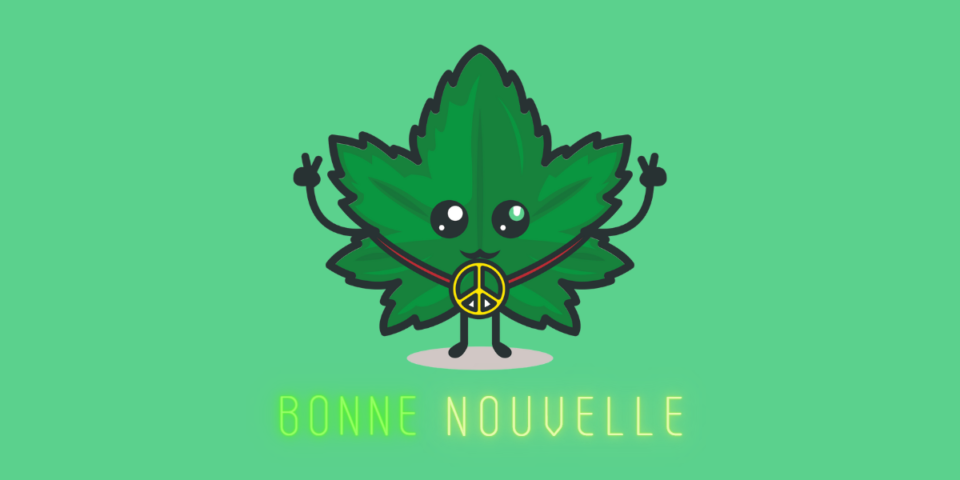 Bonne nouvelle pour le CBD